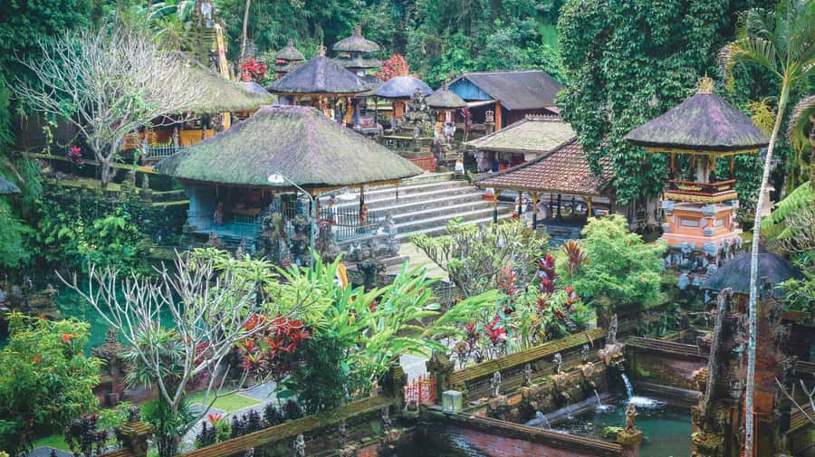 Ubud: Spectacular Waterfalls Tour - What the best guides seem to do well on this tour