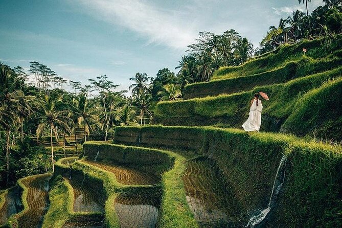 Ubud: Swing - Monkey Forest - Waterfall - Temple - Rice Terraces - Art Crafts - Pickup and your guide who handles the photos