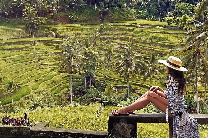 Ubud: Swing - Monkey Forest - Waterfall - Temple - Rice Terraces - Art Crafts - My Swing Bali: canopy views and photo-friendly timing