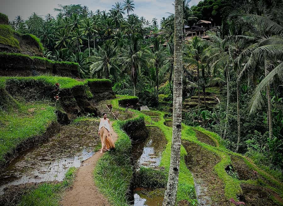 Ubud: Tegalalang Rice Terrace Photos Tour with Swing Ticket - Subak irrigation and Tri Hita Karana on the terrace trail