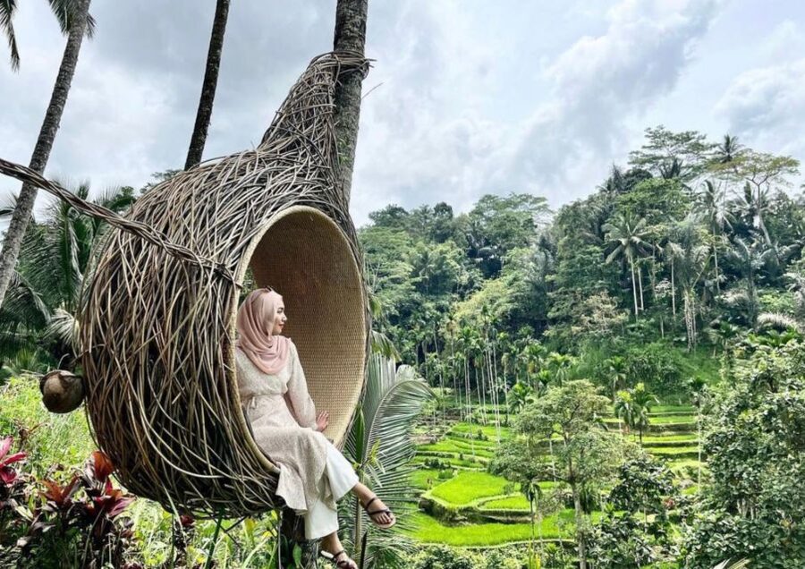 Ubud: Tegalalang Rice Terrace Photos Tour with Swing Ticket - Price and value: why $23 can work well here