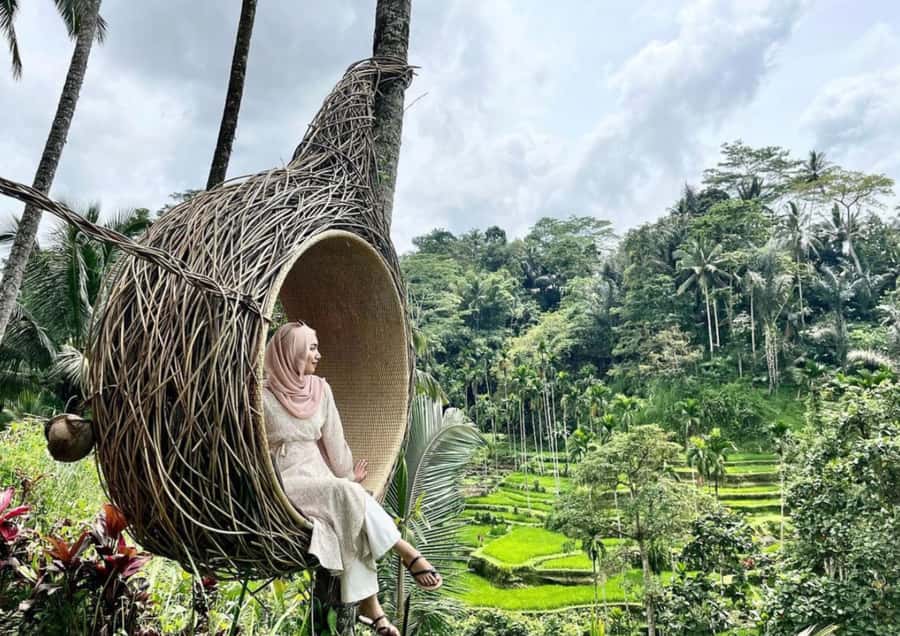 Ubud: Tegalalang Rice Terrace Photos Tour with Swing Ticket - Who should book, and who should skip