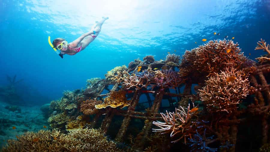 Ubud: Tegenungan Waterfall, Snorkeling, and Canyoning Tour - Key things to know before you go