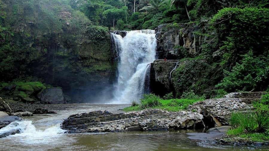 Ubud: Tegenungan Waterfall, Snorkeling, and Canyoning Tour - Beji Guwang Hidden Canyon: the trek, the jumps, and why it’s the highlight