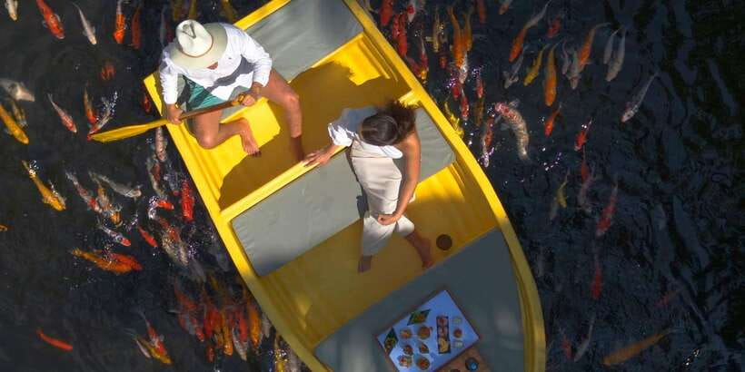 Ubud: The Original Koi Fish Yellow Boat Photo Moment - Fish feeding, birds, and the photo timing that works