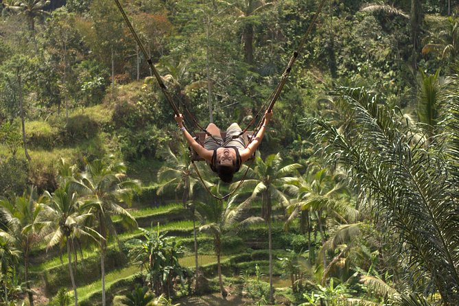 Ubud Top Attractions: Waterfalls, Temples and Rice Terraces - Stop-by-stop: Kanto Lampo, Tibumana, Sebatu Temple, the swing, and Tegalalang
