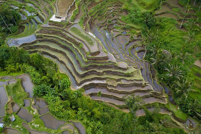 Ubud Top Attractions: Waterfalls, Temples and Rice Terraces - How the best guides improve the day (and how you can use that)