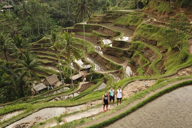 Ubud Top Attractions: Waterfalls, Temples and Rice Terraces - Crowds, rain, and route changes you should expect