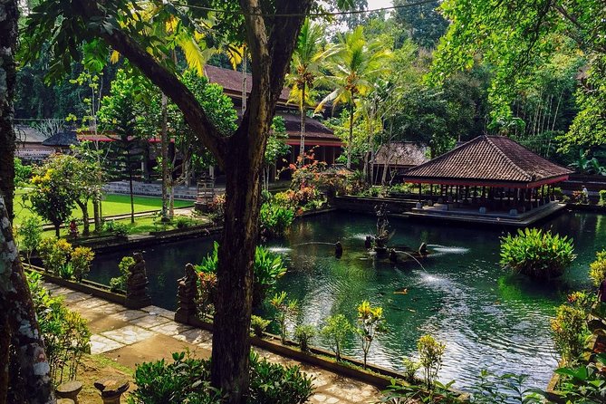 Ubud Top Attractions: Waterfalls, Temples and Rice Terraces - Who should book this tour, and who should skip it