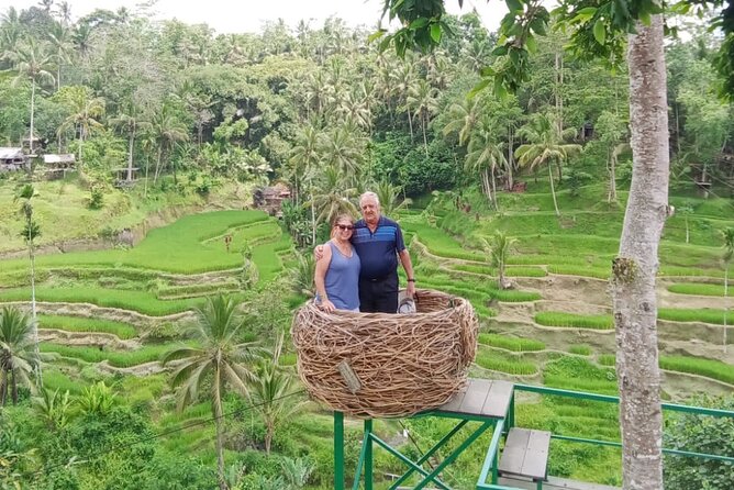 Ubud Tour - Best of Ubud - All Inclusive - Price and Timing: What the $90 Buys You
