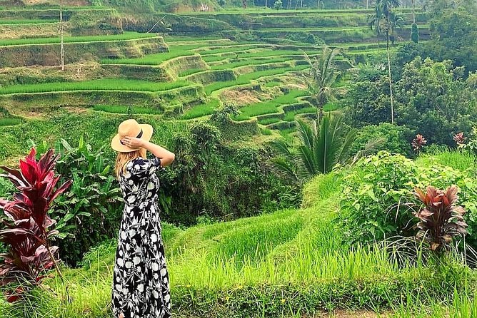 Ubud Tour - Ubud Highlight - Private Tour All inclusive - Why this Ubud private tour feels easier than DIY