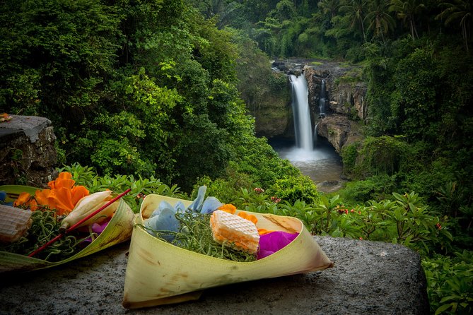 Ubud Tour with Swing, Temple, Monkey Forest, and Waterfall - Sacred Monkey Forest Sanctuary: close encounters, rules, and common sense