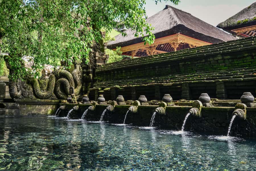 Ubud & Volcano Hot Springs Tours - From Your Hotel Into Ubud: The Morning Start That Sets the Pace