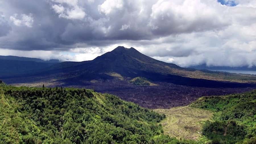 Ubud & Volcano Hot Springs Tours - Tegalalang Rice Terraces: Views That Reward Walking