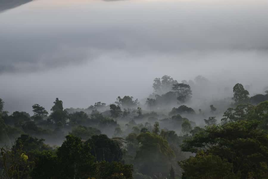 Ubud & Volcano Hot Springs Tours - The Big Value Question: Is $50 Worth It?