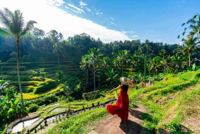 Ubud: Water Temple, Rice Terrace, and Waterfalls Tour - Why this Ubud circuit makes sense in one long day
