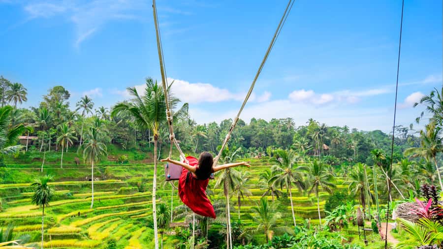 Ubud: Waterfall, Rice Terraces & Monkey Forest Private Tour - Key things you’ll remember from this tour