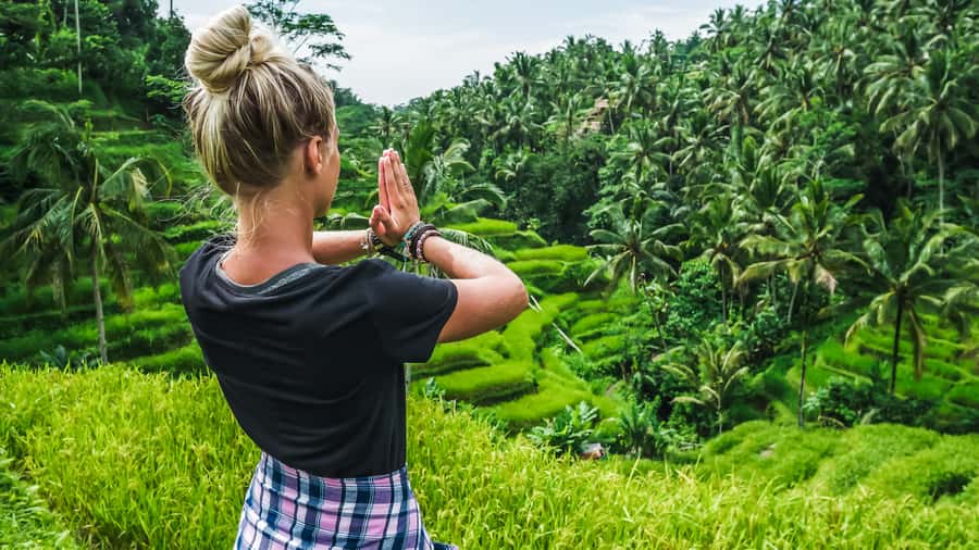 Ubud: Waterfall, Rice Terraces & Monkey Forest Private Tour - Tickets, lunch options, and paying in cash where it counts