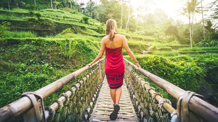 Ubud: Waterfall, Rice Terraces & Monkey Forest Private Tour - How this Ubud day tour fits together (and why it matters)