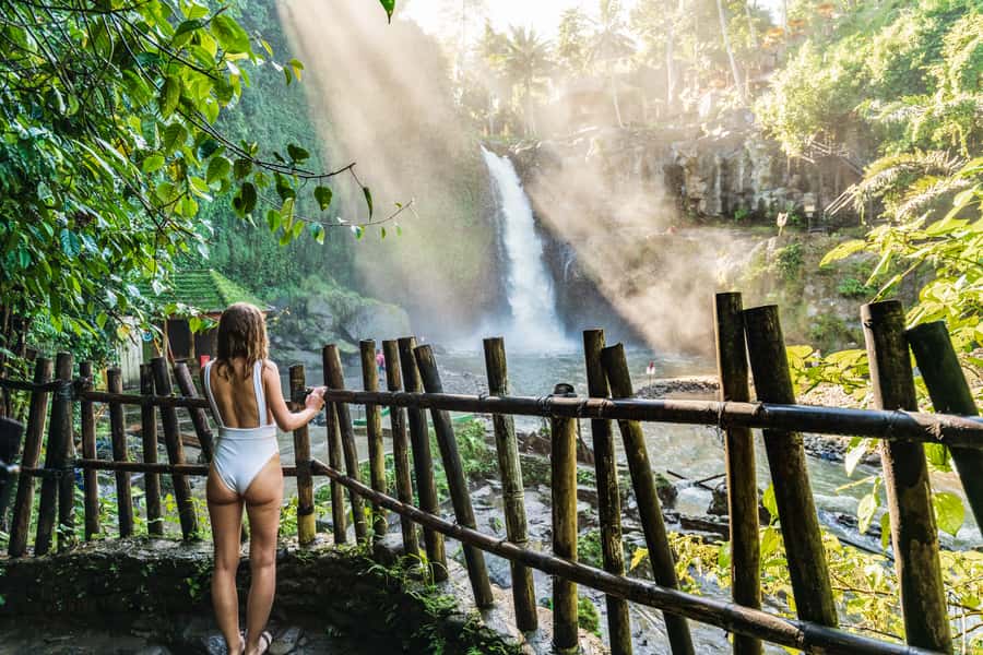 Ubud: Waterfall, Rice Terraces & Monkey Forest Private Tour - Tirta Empul holy spring water: cleansing rituals with a guided path