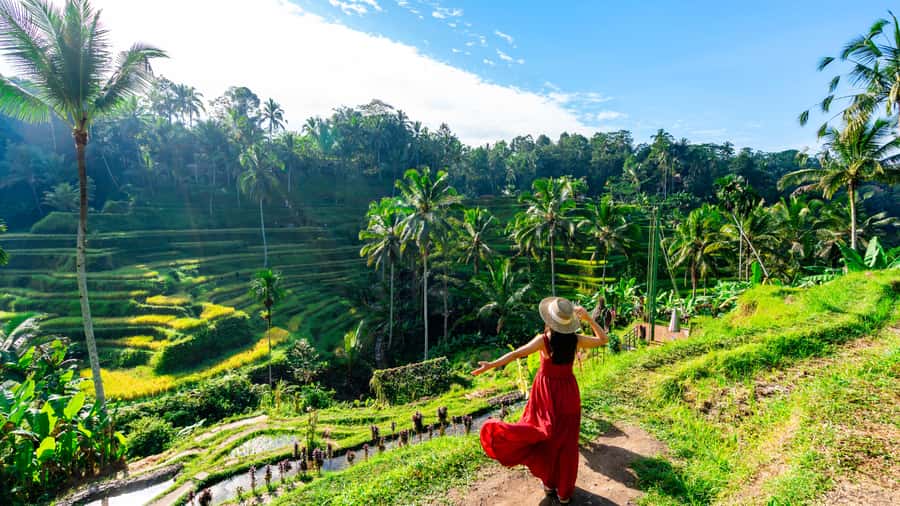 Ubud: Waterfall, Rice Terraces & Monkey Forest Private Tour - Coffee plantation and Luwak coffee: a tasty stop with an odd origin