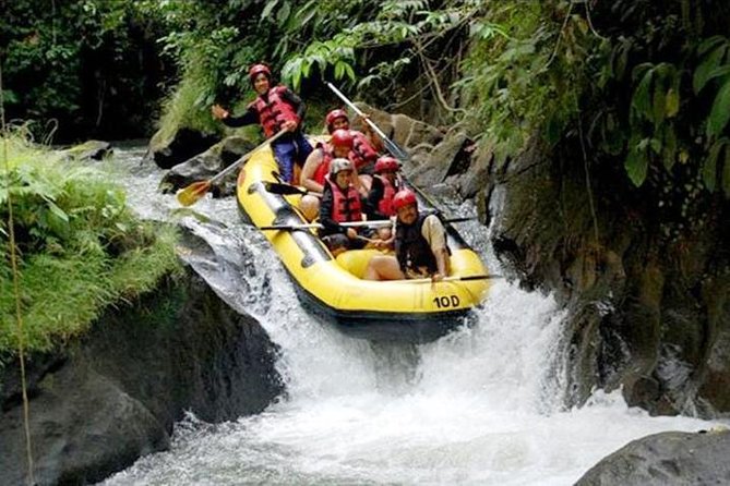 Ubud White Water Rafting on the Ayung River with Pickup & Lunch - Key highlights to know before you go