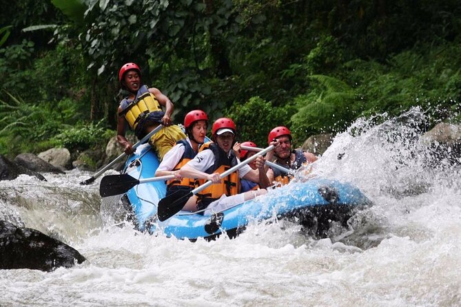 Ubud White Water Rafting with Waterfall and Lunch - Key Points That Matter