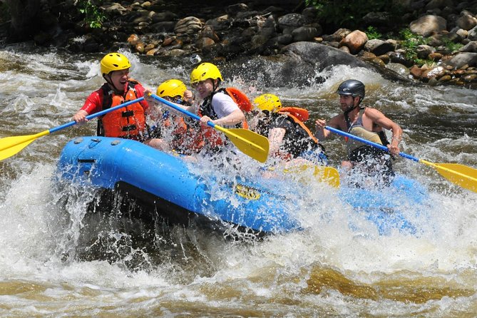 Ubud White Water Rafting with Waterfall and Lunch - Buffet Lunch After Rafting: Included, Filling, and Often a Relief
