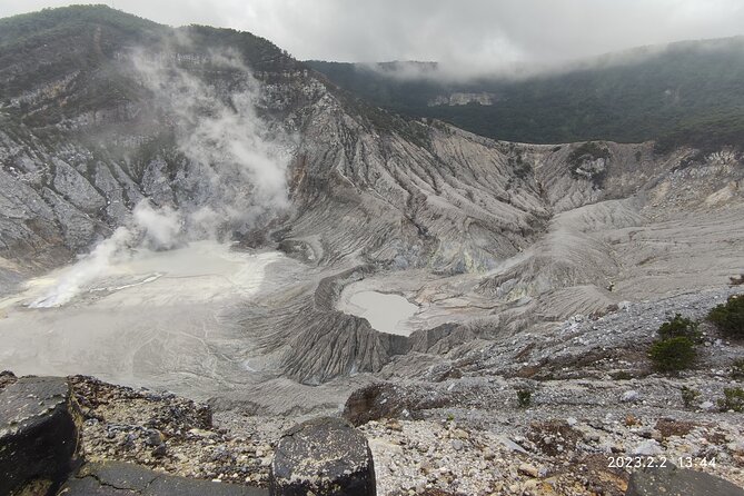 Volcano, Hot Spring, Tea Factory, rice fields and Coffee Tour - Tangkuban Perahu Volcano: Sulfur Smell, Fumes, and That Ring-of-Fire Feeling