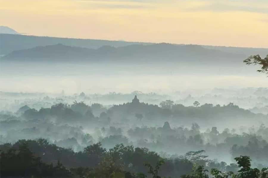 Yogyakarta: Borobudur Sunrise (Climb-up Assured) & Prambanan - The early-morning schedule that actually works