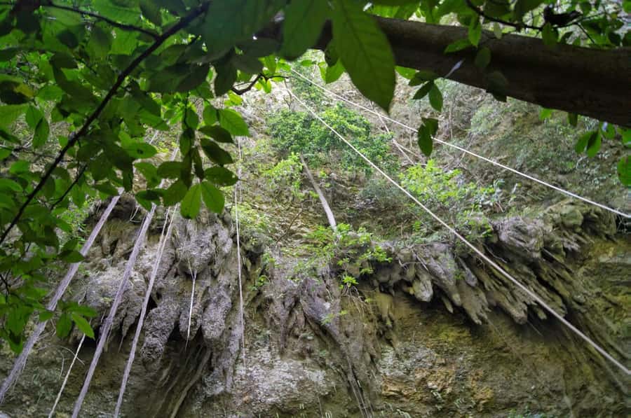 Yogyakarta: Jomblang Cave and Pindul Cave all inclusive Trip - Pindul Cave tubing, donut boats, and emerald water calm