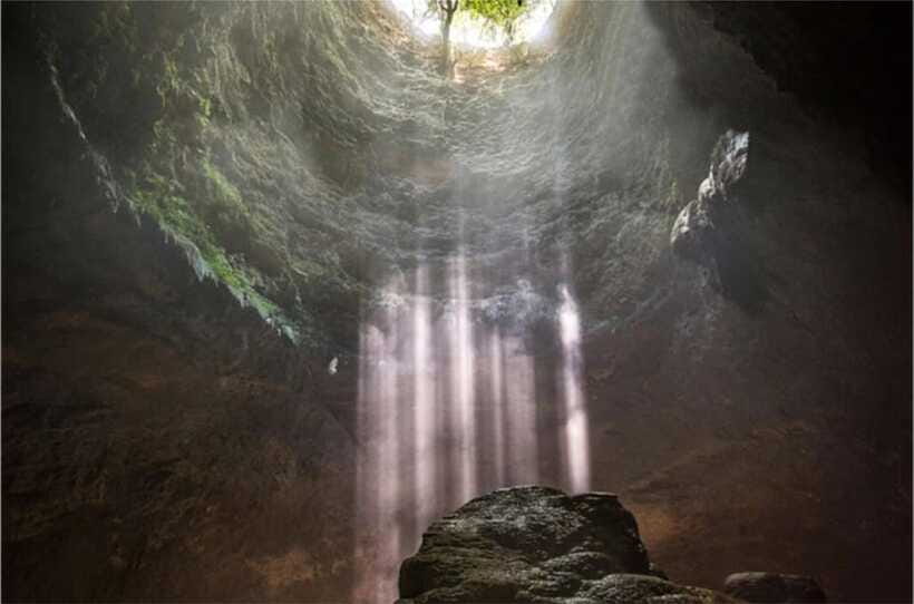 Yogyakarta: Jomblang Cave Entry Ticket - Who should book this Jomblang Cave entry ticket