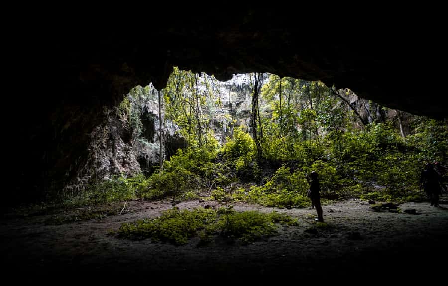 Yogyakarta: Jomblang & Pindul Cave Guided Adventure - The Value Behind the $89 Price Tag