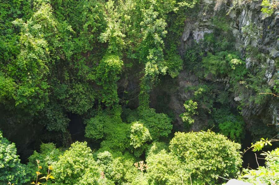 Yogyakarta: Mt. Merapi Sunrise, Jomblang & Pindul Cave Tour - What Happens After the Descent: Lunch Above the Cave