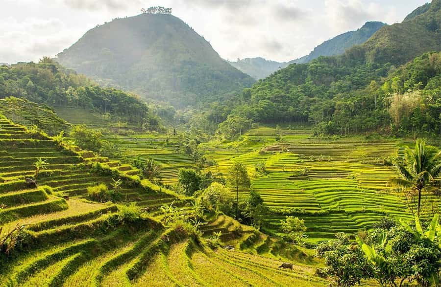 Yogyakarta: Private Customizable Guided Tour - Key highlights you should know before you go