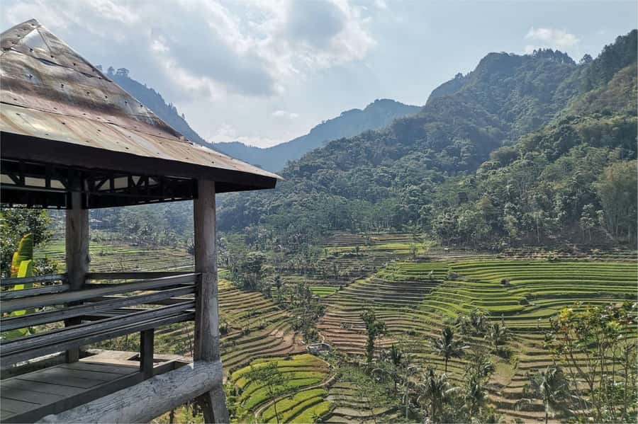 Yogyakarta: Selogriyo Temple, Rice Terraces & Waterfall Tour - Getting Out of Yogyakarta: The Drive That Sets the Tone