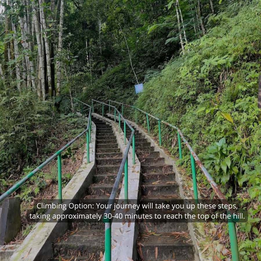 Yogyakarta Volcano: Merapi Volcano on Hilltop (Lava Viewing) - The guide experience: what you can expect from English support
